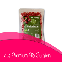 Bio Erdbeeren gefriergetrocknet 100g (Fruchtstücke)