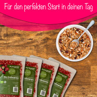 Bio Erdbeeren gefriergetrocknet 100g (Fruchtstücke)